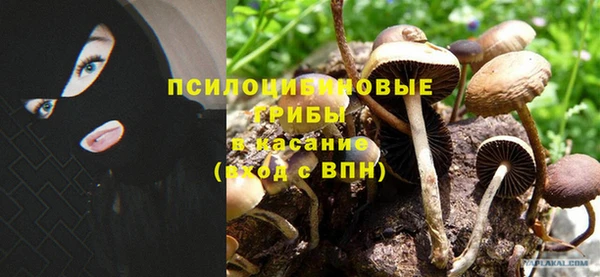гидра Кинешма