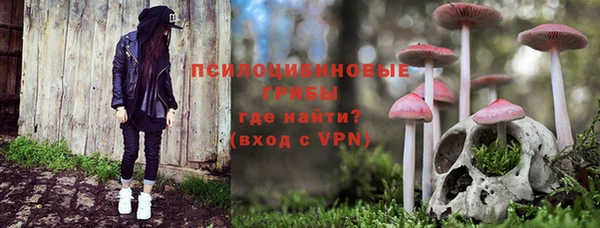 гидра Кинешма