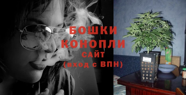 гидра Кинешма